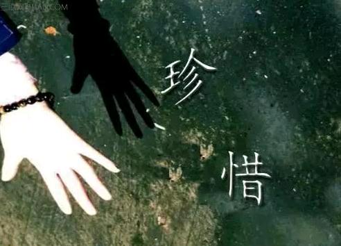 太重感情的人，总是温暖了别人，却辜负了自己