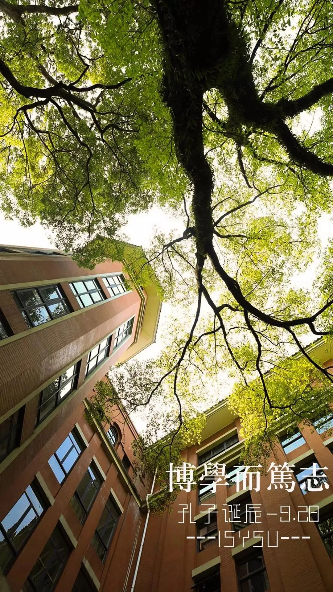 中国这10所大学壁纸第二期！厦门大学、中山大学等在列