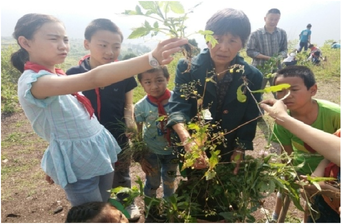 「分享荟全纪录」张平原：乡村一样可以办出好学校
