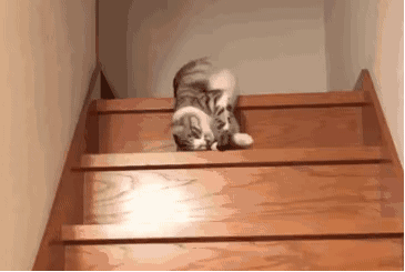 2020版最新法官、检察官表情大全！哈哈哈