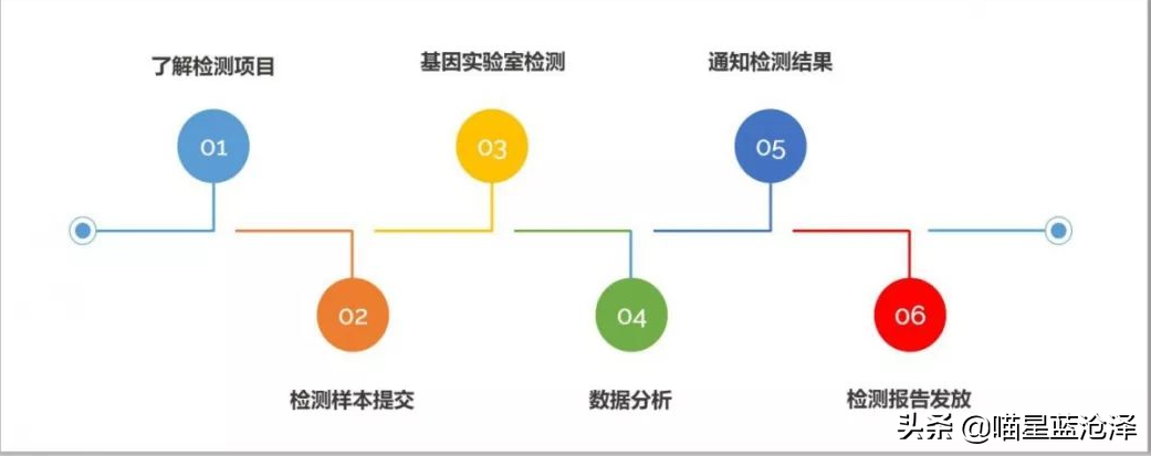 狗狗也能做亲子鉴定？临床兽医告诉你，不仅仅用来鉴定父子关系