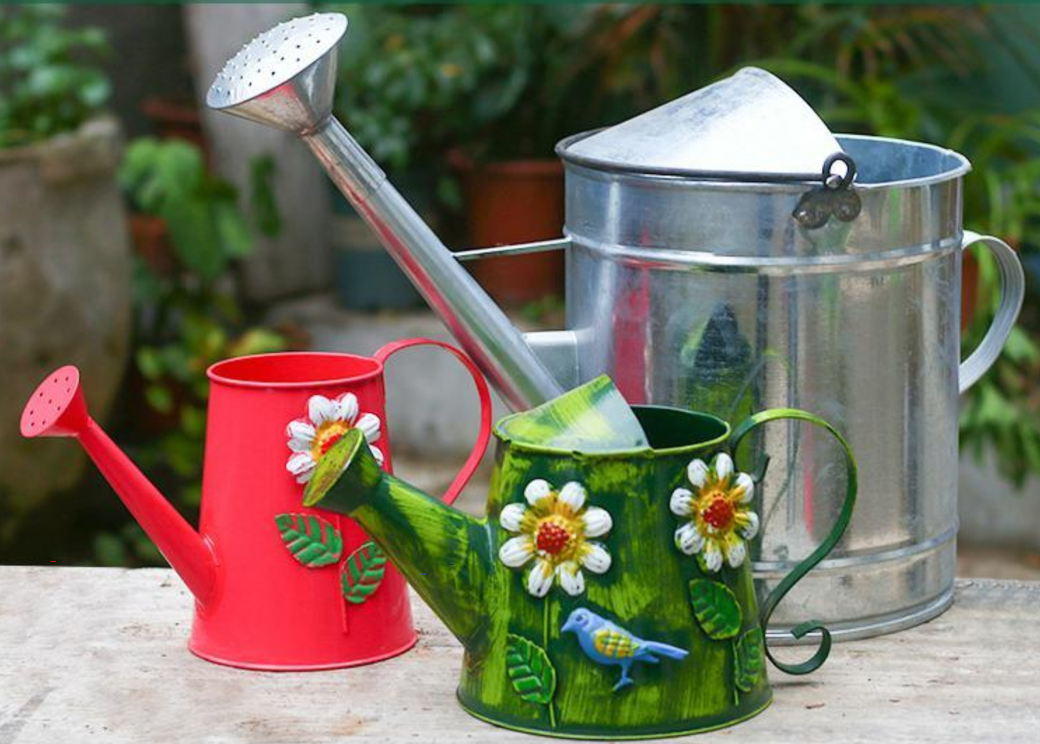浇花的水壶叫什么(浇花常用的水壶,各有各的用处,你了解几个?