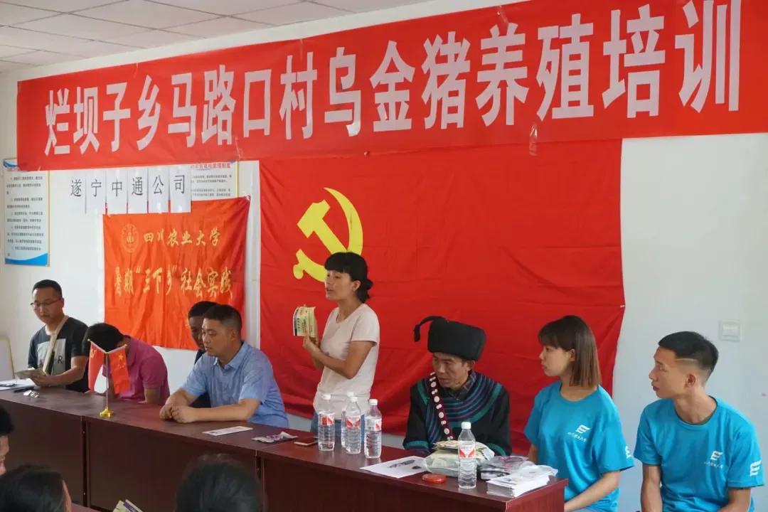 看！来自四川农业大学的志愿服务项目