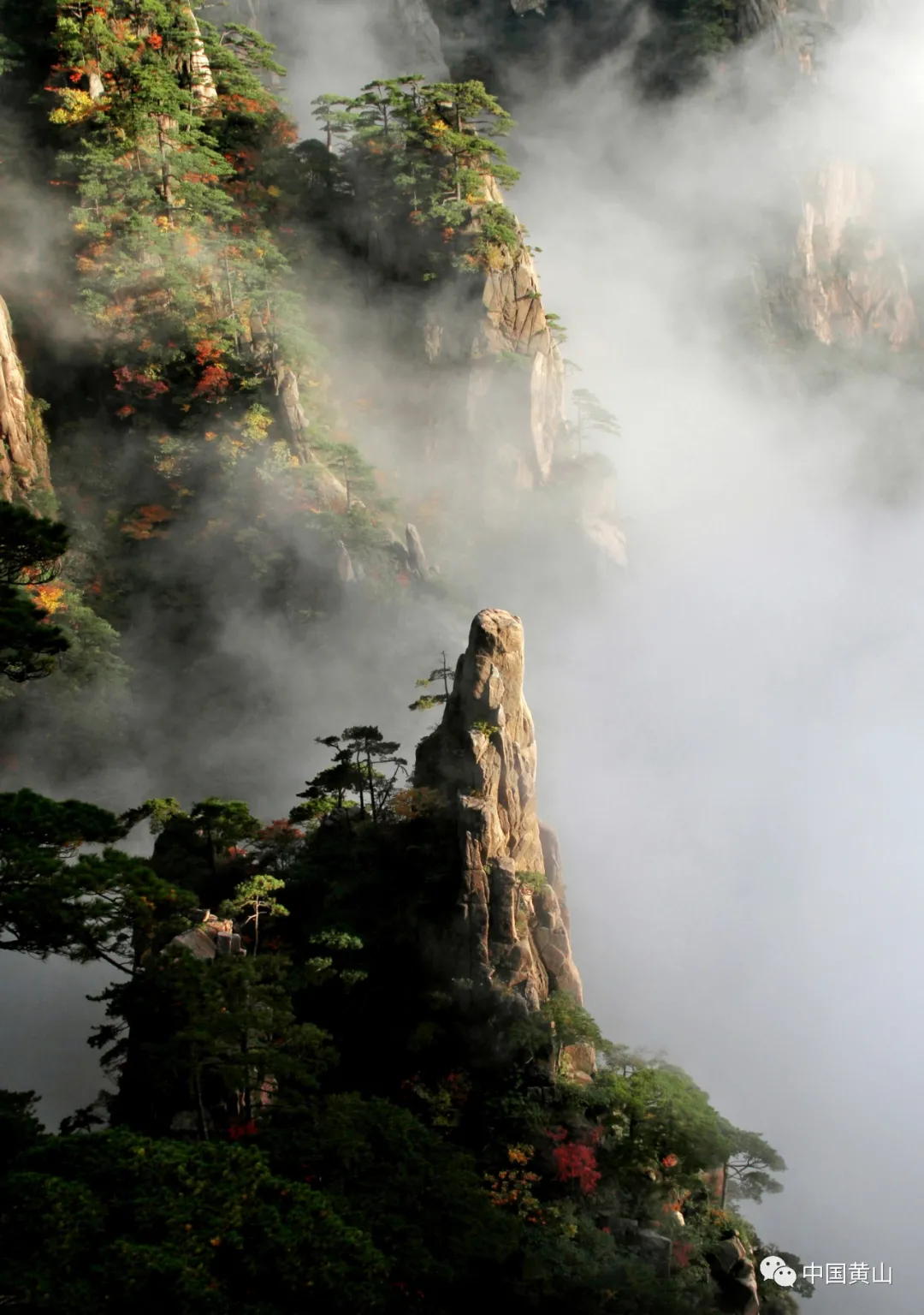 「黄山寻秋记」初秋、仲秋、晚秋,黄山赏秋时刻表来啦