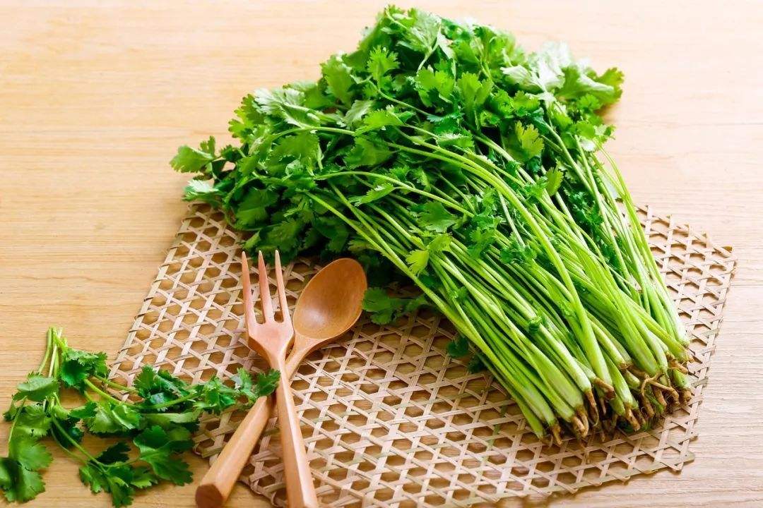 蔬菜怎么保鲜效果好（教你6个好方法学会一周不出门）