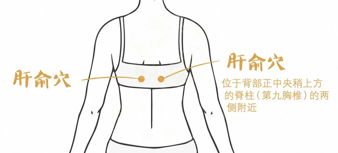 养肝补肾不花钱，每天按揉这些保健穴，养生效果看得见