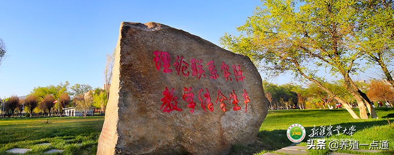 决肯·阿尼瓦什（哈萨克族），新疆农业大学教授，遗传育种专家