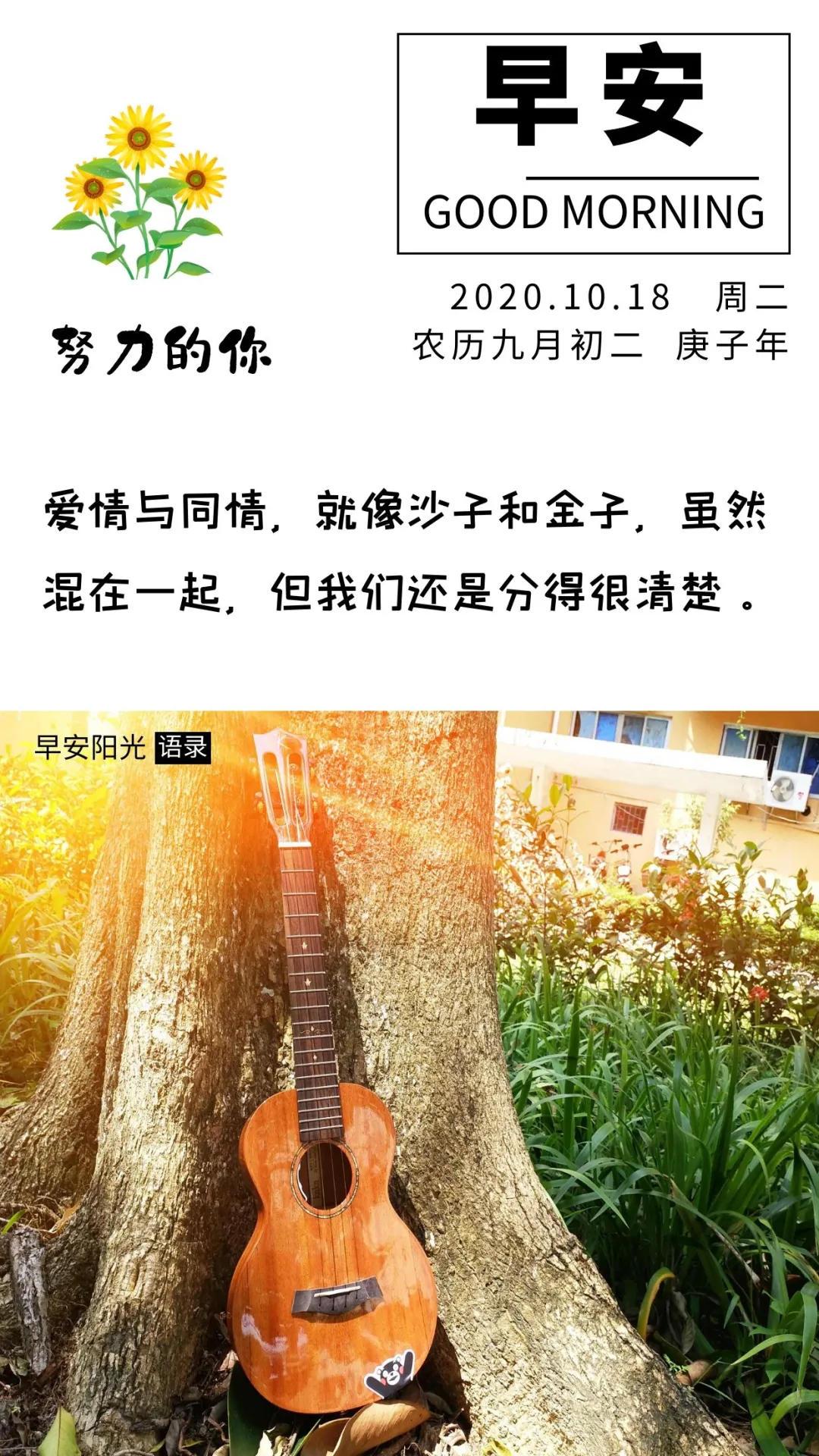 清晨励志语录：所有失去的，都会以另外一种方式归来