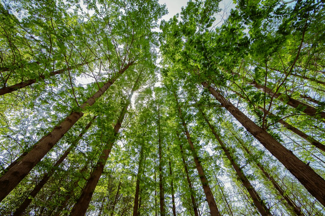 郑州向北，刚需为啥看不上这个均价八千的片区？