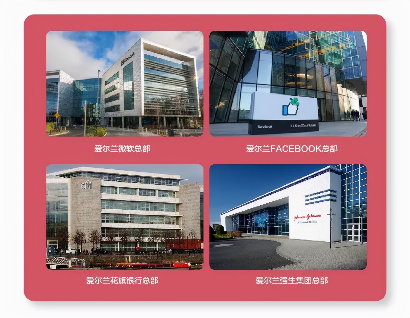 爱尔兰教育怎么样？从小学到大学，安排得明明白白