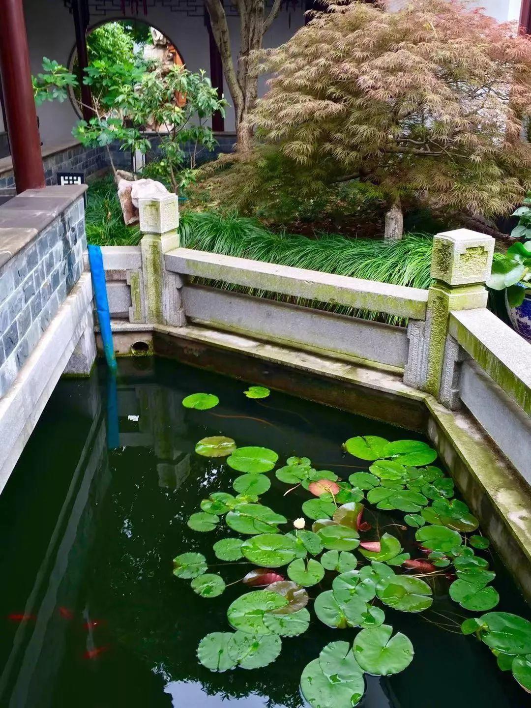 踏过万水千山，此生唯愿与花为伴……