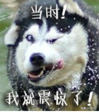 超级全才丁西林：是物理学家、喜剧大师；是外交家、也是数学家