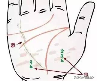 24种手诊图，揭示你的身心健康