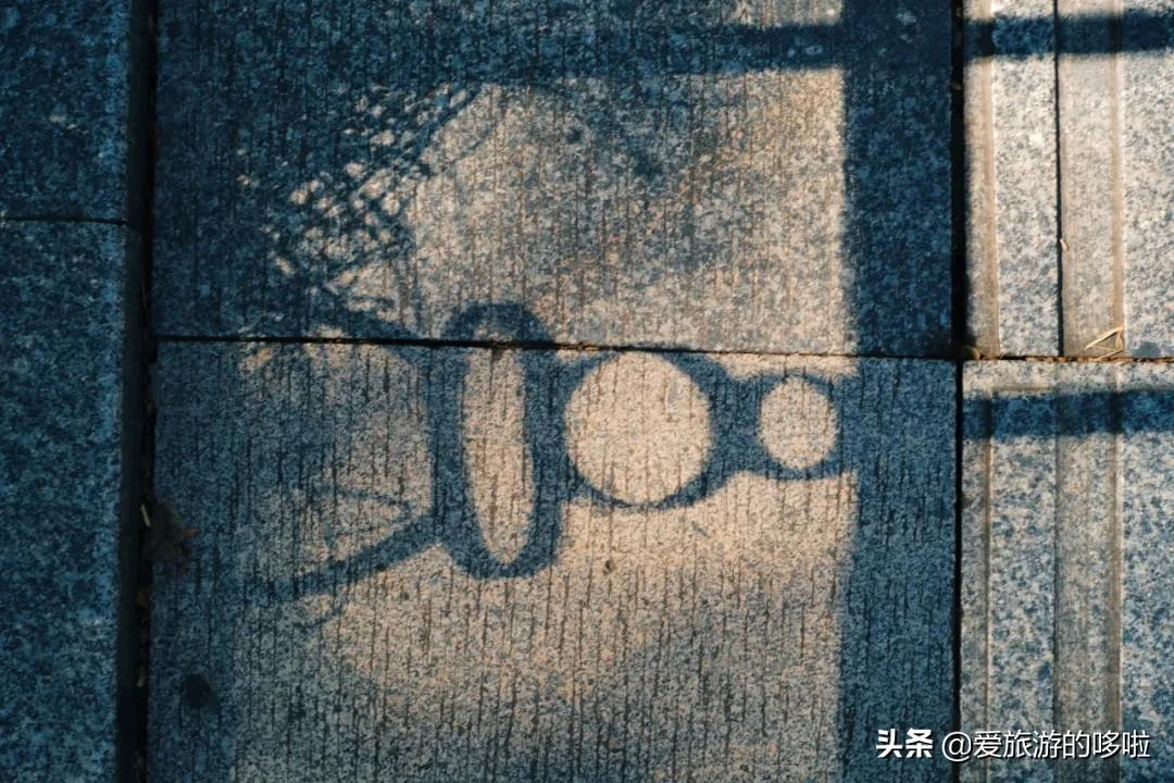 6块钱,包船游西湖