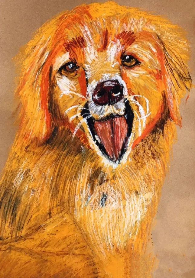 重彩油画棒—这些可爱的宠物狗狗你最喜欢哪一个?