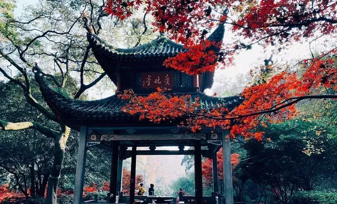 最美不过枫叶红,6个红枫圣地"打包"给你,错过悔一年