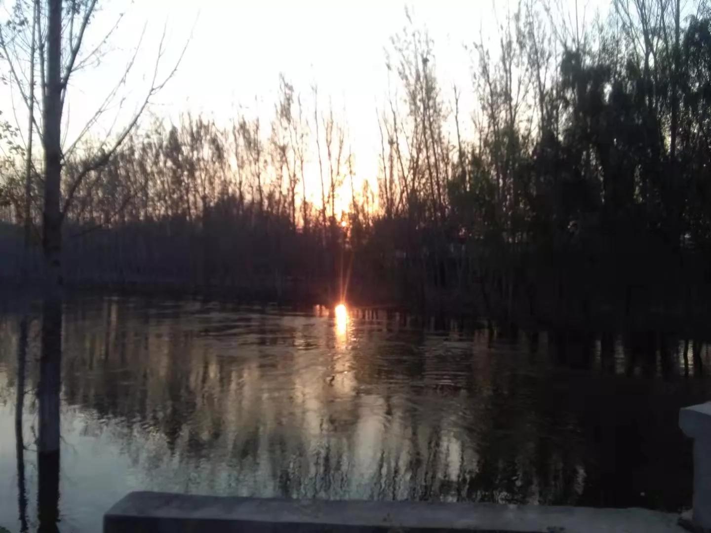 《原创文章》幸福就是不多想