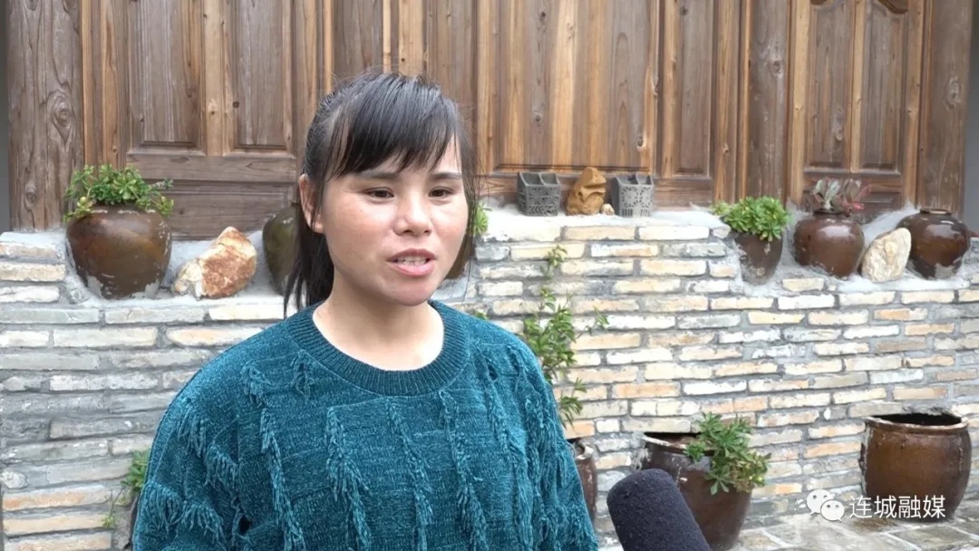 「全面推進(jìn)鄉(xiāng)村振興」連城四堡：油茶豐收采摘忙 碩果累累助增收
