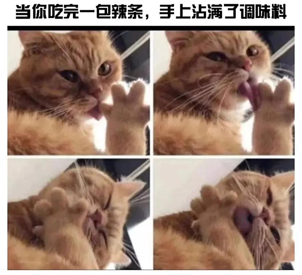 送前妻什么生日礼物好（送前妻什么礼物最好）