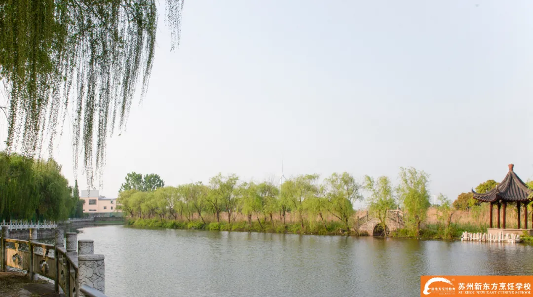 「校园环境」夏末初秋，一起领略校园美景