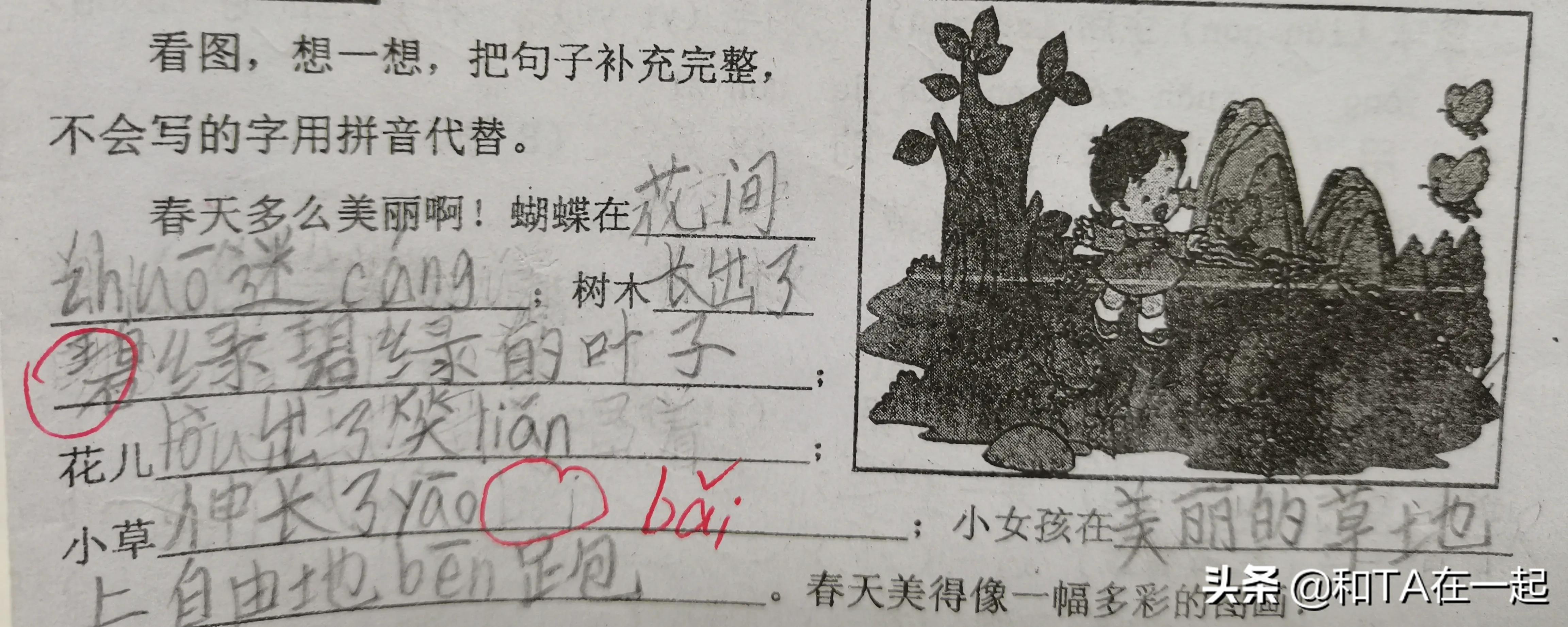 记录一年级的写话：（20）