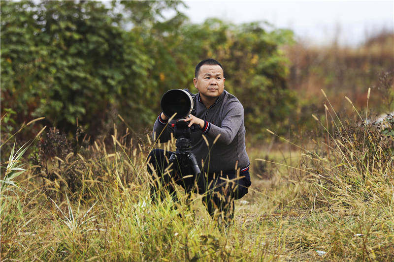 全球约3500只白鹤，98%都会在鄱阳湖过冬，白鹤是如何从西伯利亚飞越五千公里到鄱阳湖的？