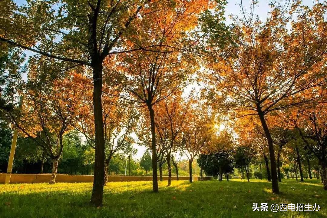 打破国外封锁,走出24位院士、超120位将军!今天,这所大学90岁了！