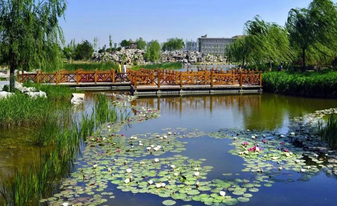 河北科技大学分高难考，但属实是理工科接本的最高目标