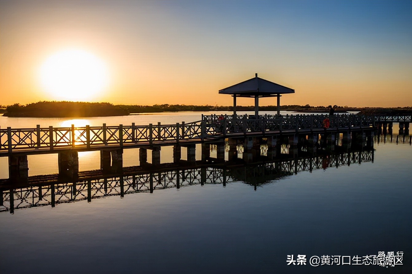 【黄河口生态旅游区】我已最美 欢迎回家