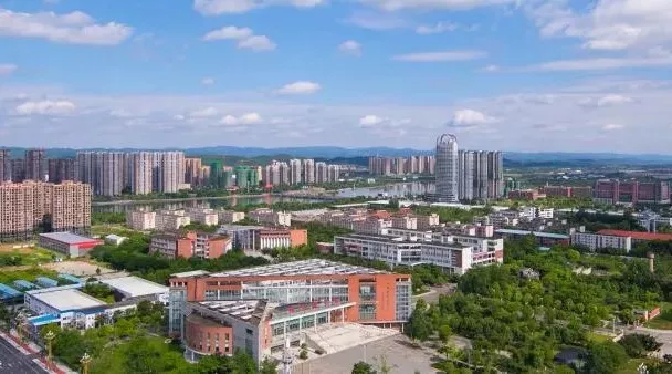 四川单招“文化艺术”大类相关专业及院校推荐