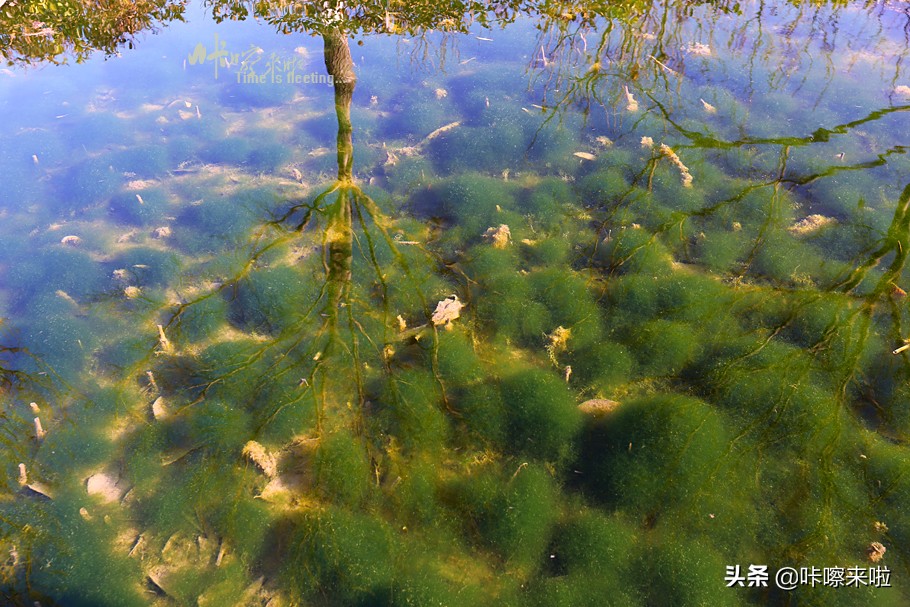 河北有座底蕴深厚的小城，离北京很近，高铁直达，适合冬季一日游
