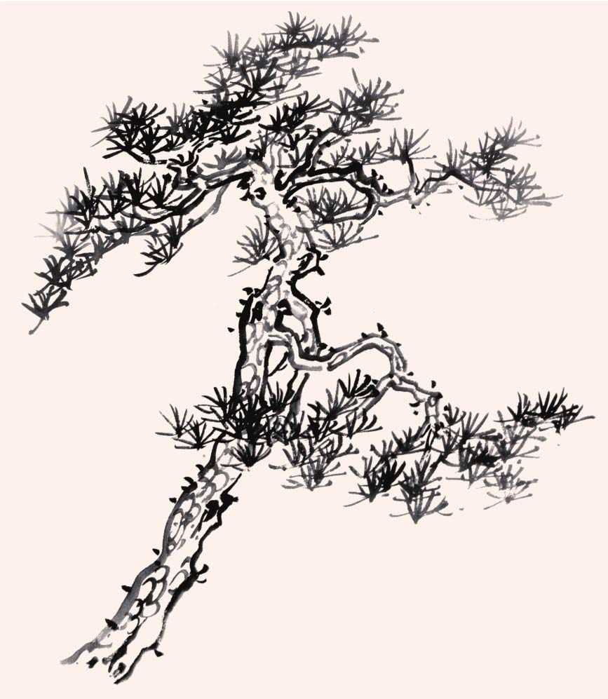国画知识：分步骤图解教你画树，简单易学，收藏起来临摹学习