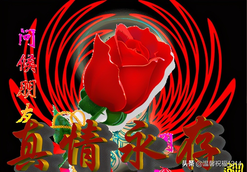 向情人问候早安短句(最新温馨早安问候短句)-情感知识库-动动脑