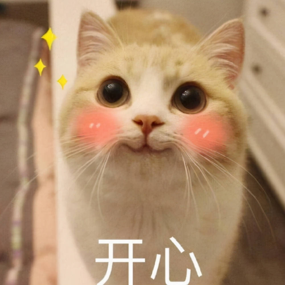 小众轻奢包包分享，每款都在1000元左右，很值得买