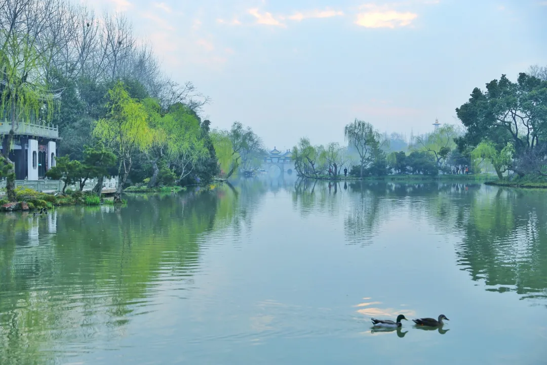 江苏最美自驾路全攻略，串起苏北6座城市，处处是美景，鲜少游客