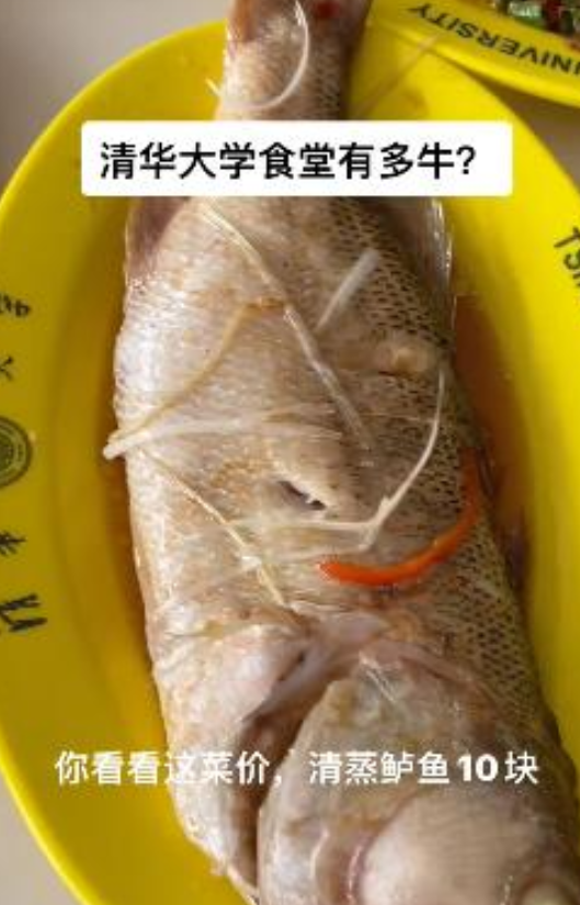 一组清华大学食堂“私照”流出：实力越强，世界对你越好