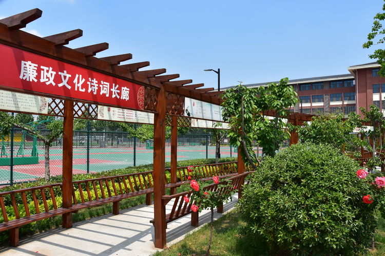 立德树人传捷报 素质教育结硕果—清丰县第二初级中学中考再创辉煌