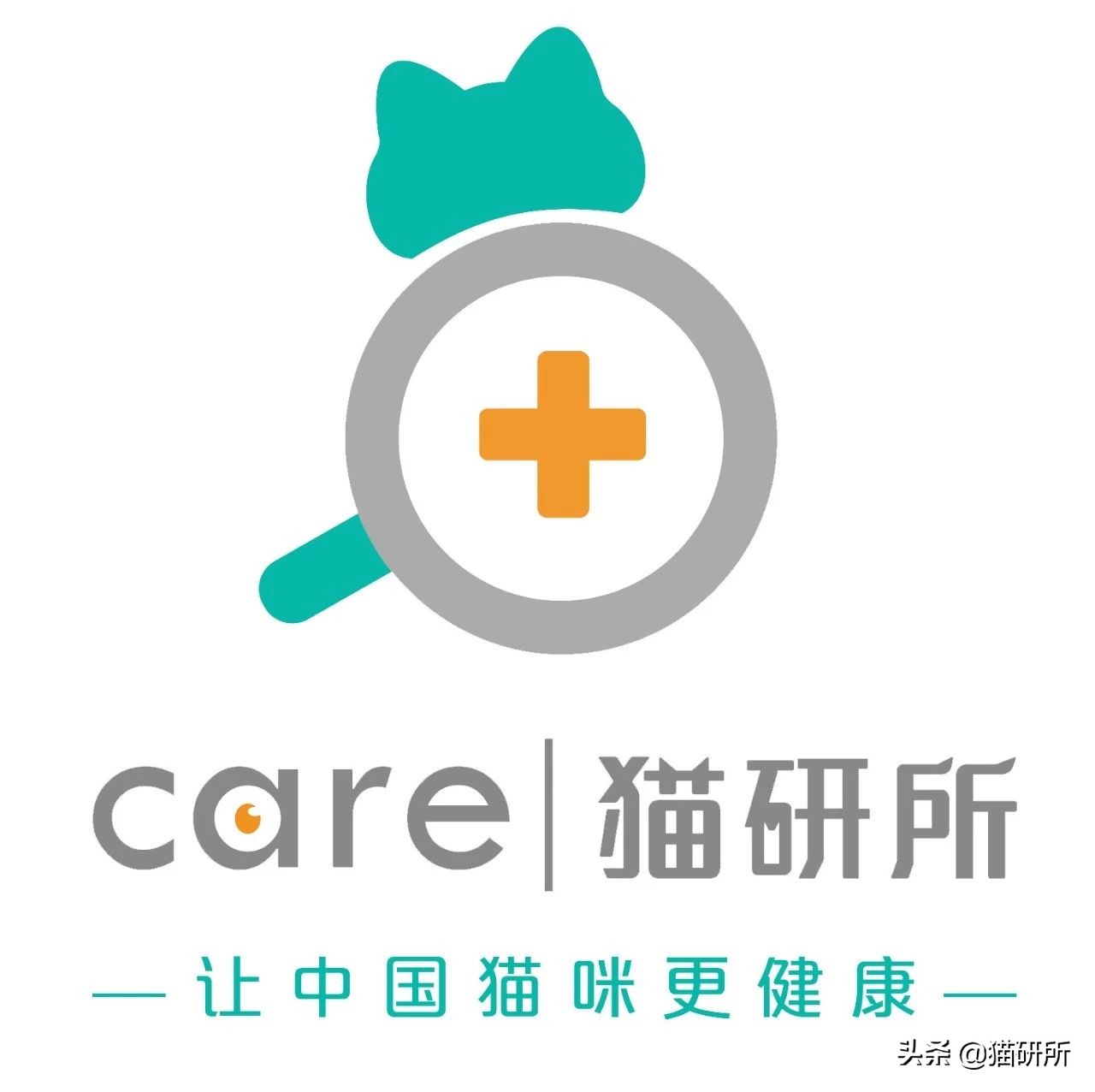 猫咪打鼾正常吗？你可能忽略了这些隐患