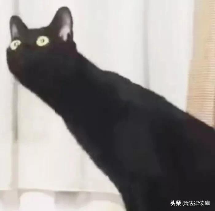 2020版最新法官、检察官表情大全！哈哈哈