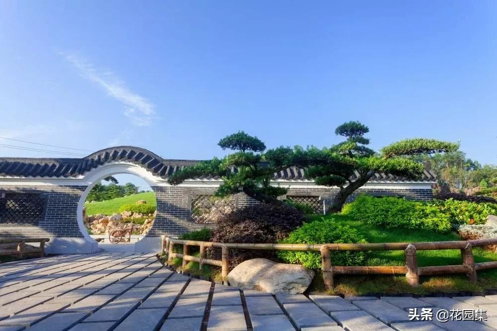 日式庭院该配什么植物?怎么配?看这里