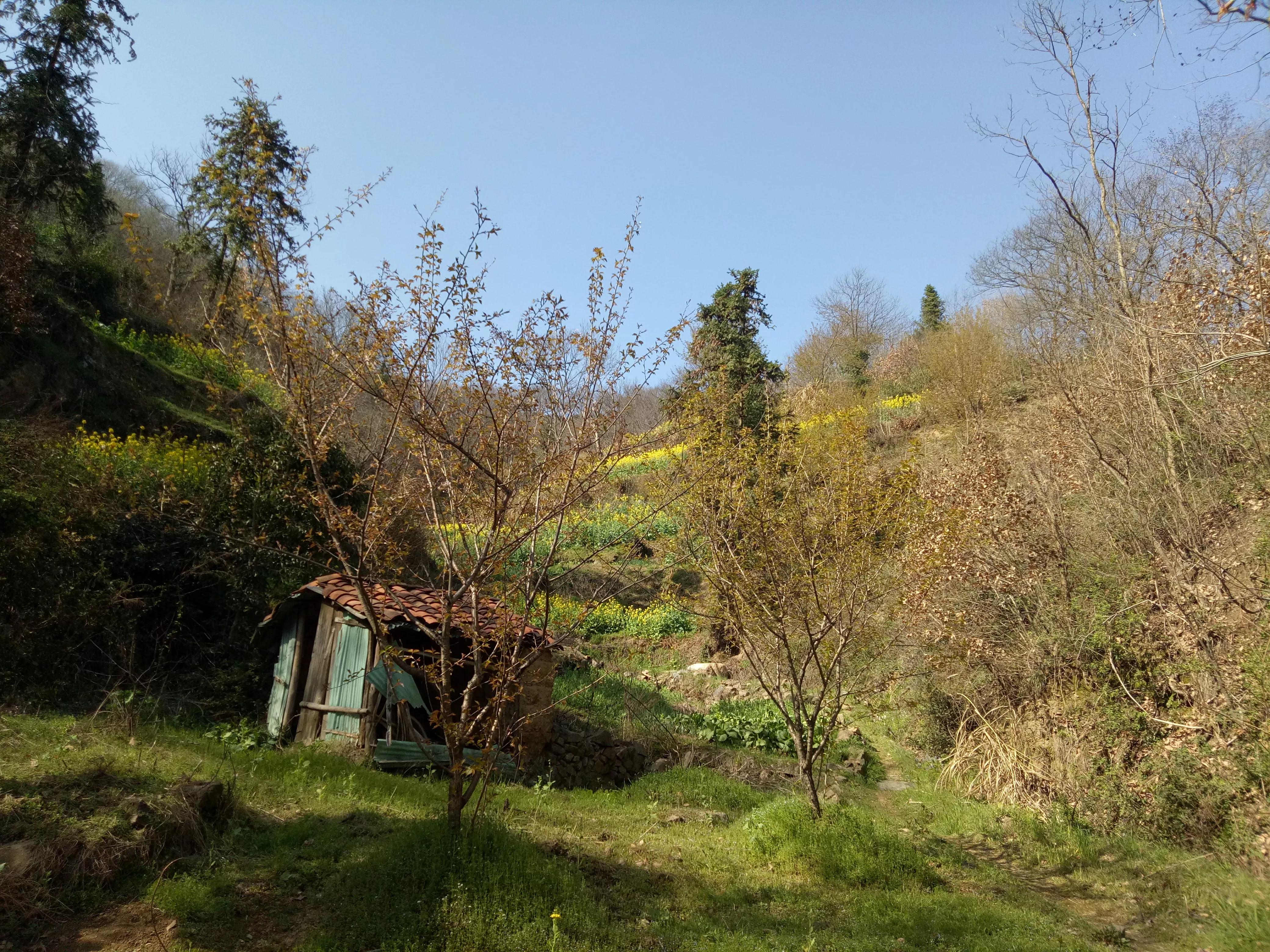 藏在深山远名扬，梦中桃源车厢沟