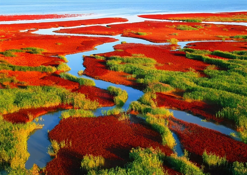 红海滩风景区:红海滩坐落于辽宁省盘锦市大洼区赵圈河镇境内,总面积20