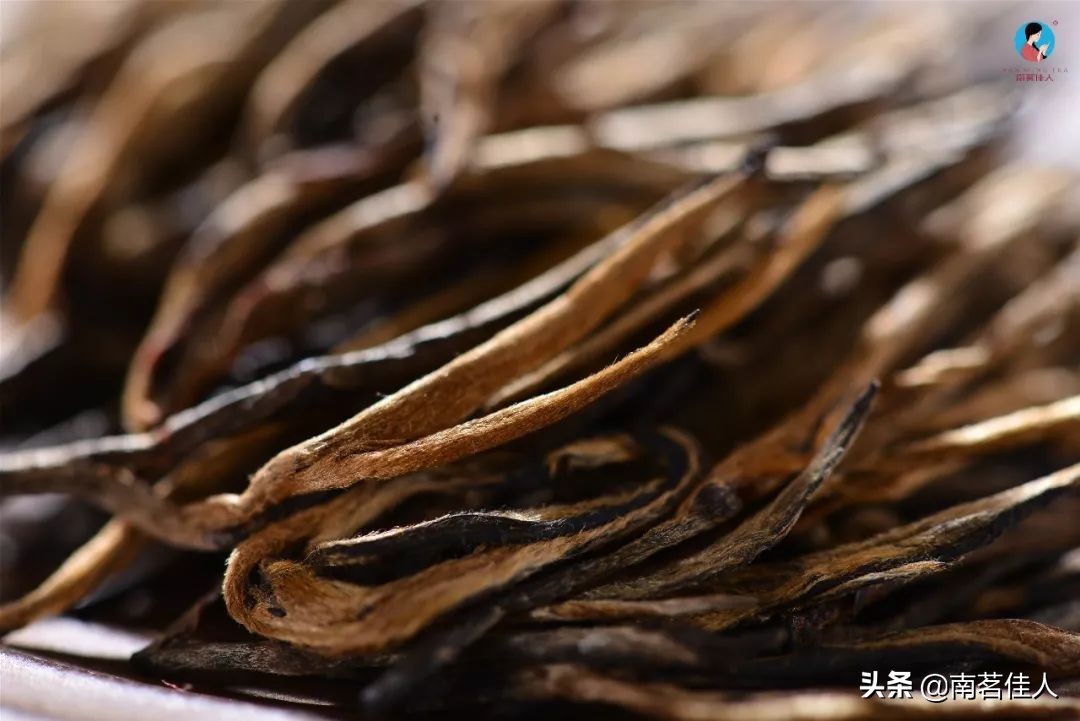 好喝又养生的红茶！这5个养生知识点，你一定要知道