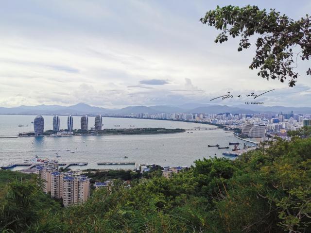 青岛宰客,青岛宰客事件2017