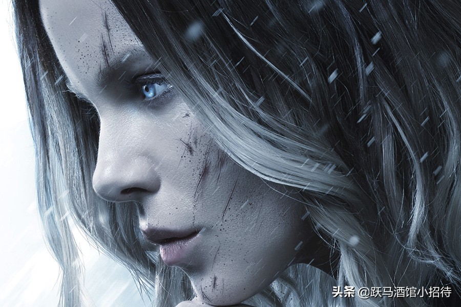 黑夜传说三大长老来历黑夜传说三大长老来历起源详解