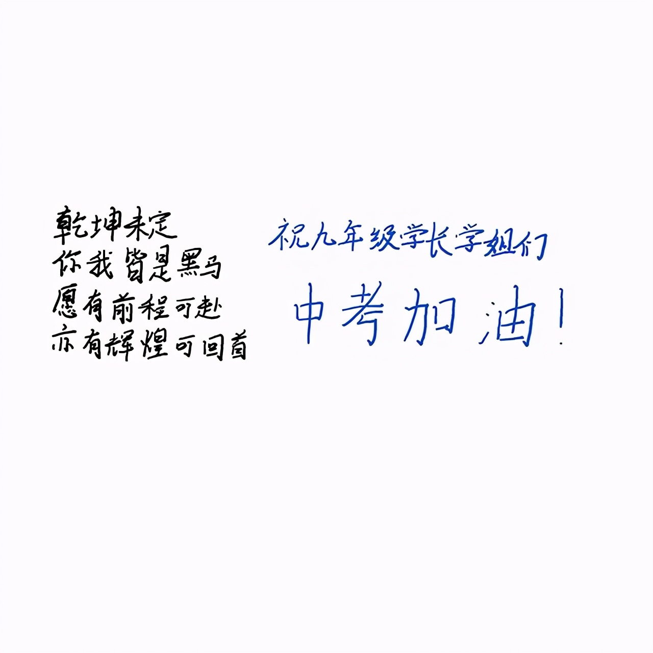 展示学海"致青春·2021中考寄语"作品征集活动所甄选出来的每一幅作品