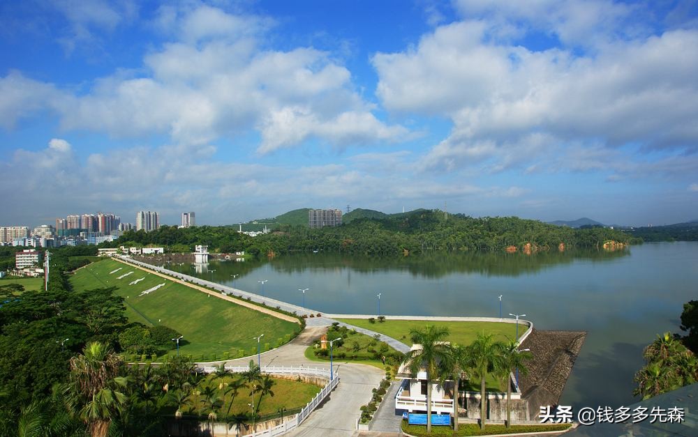 同处在湾区的深圳大学，会成为下一个硅谷的斯坦福吗？