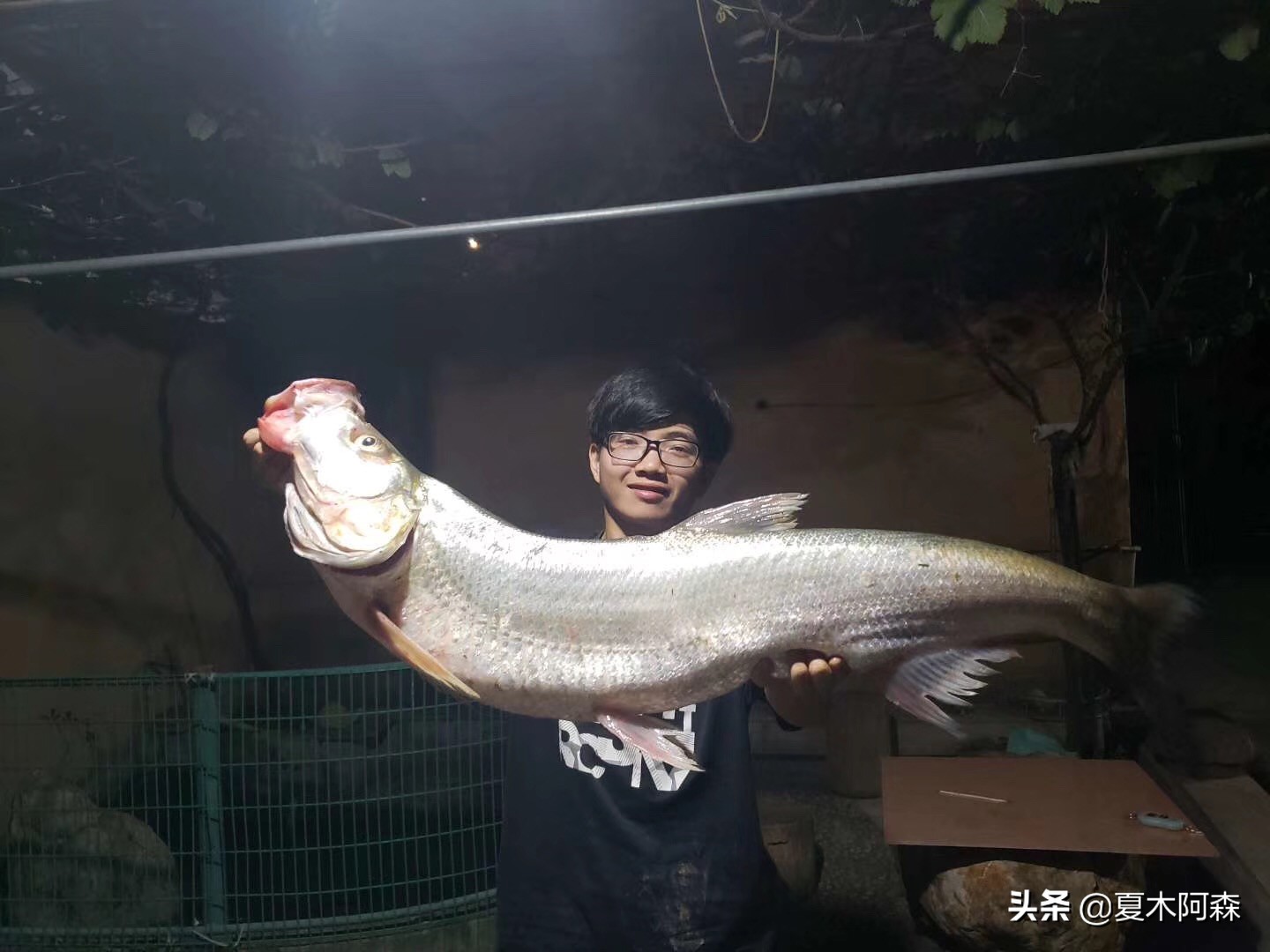 米级翘嘴鱼多少钱一斤路亚米级翘嘴不是梦