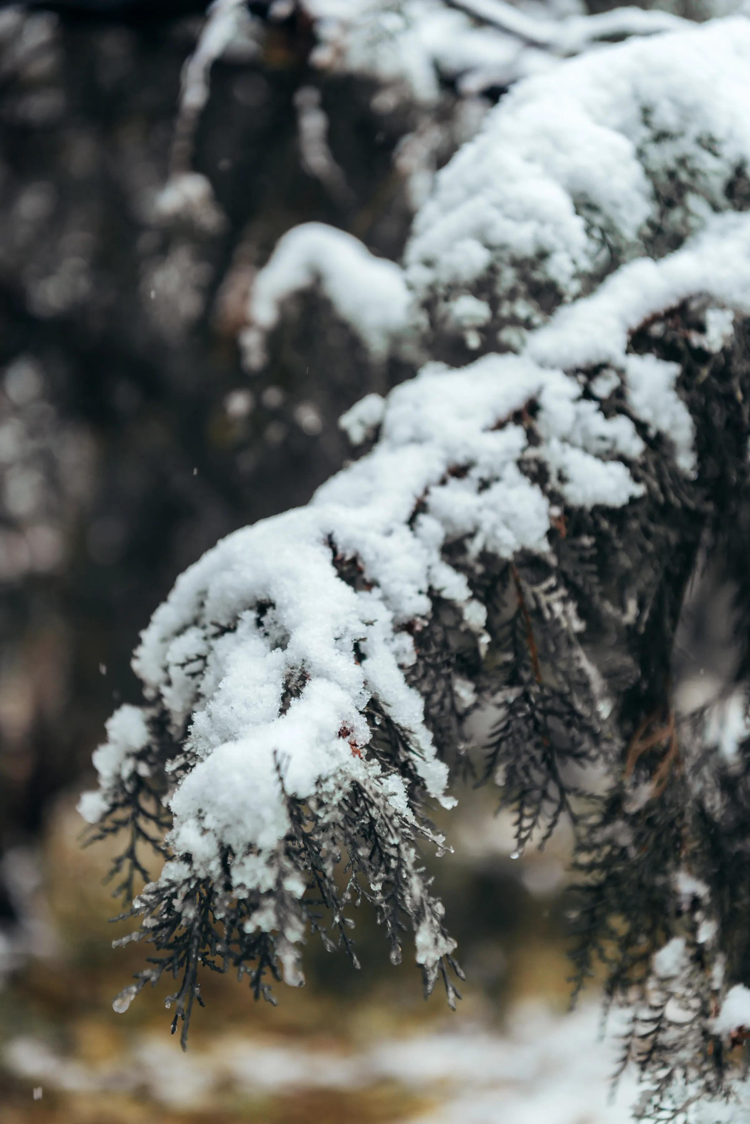 北京户外私汤｜下雪与温泉更配哦♨️