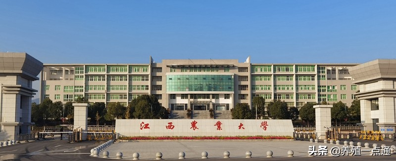 胡国良，江西农业大学动科院院长、教授、博导，动物疾病专家